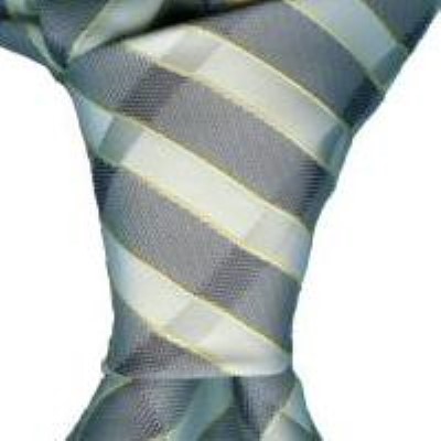 Cadouri : cravata model P76